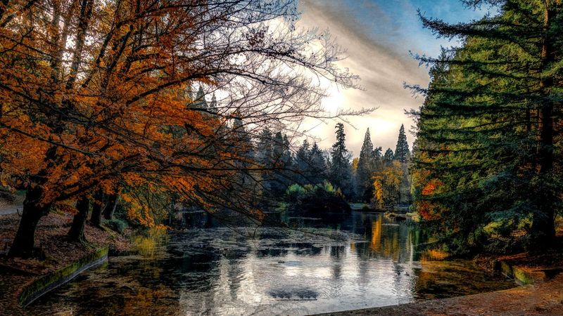 Laurelhurst Park lake surrounded by fall foliage